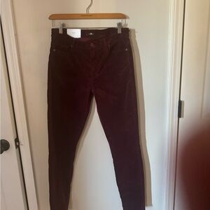 NWT Paige velvet pants- maroon